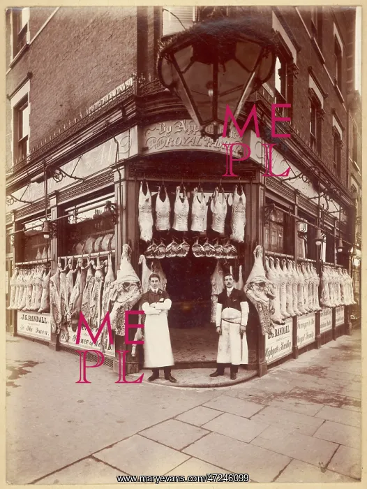 : Butchers to the Queen : Butchers to the Queen
