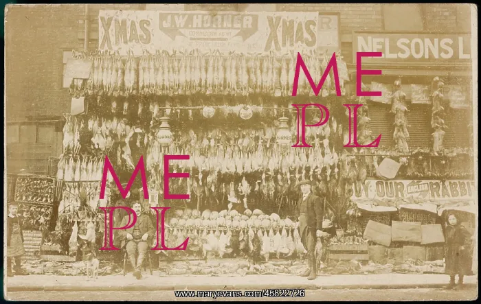 : Butcher's Shop : Butcher's Shop