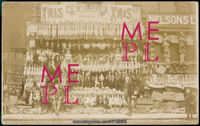 : Butcher's Shop : Butcher's Shop