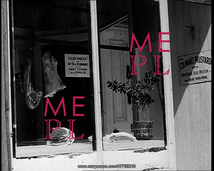 : An Almost Empty Butcher's Shop : An Almost Empty Butcher's Shop