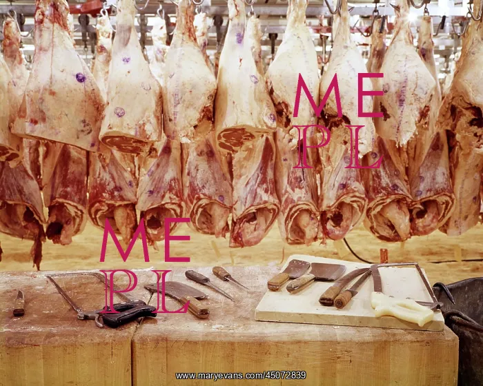 : Butcher's Tool on Chopping Block in Front Side Raw : Butcher's Tool on Chopping Block in Front Side Raw