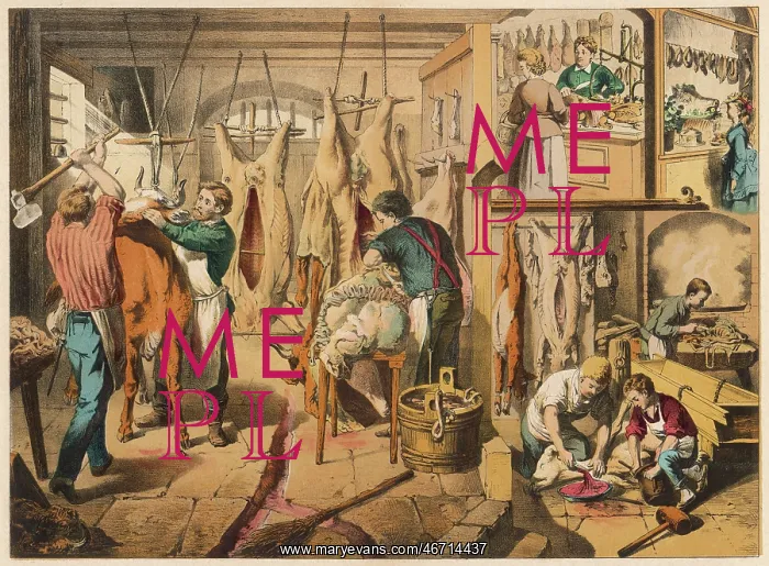 : Butchers at work, with shop scene : Butchers at work, with shop scene