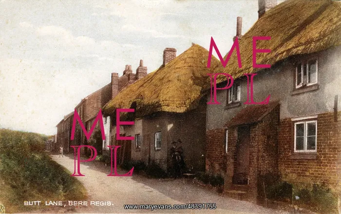 : Butt Lane, Bere Regis, Dorset