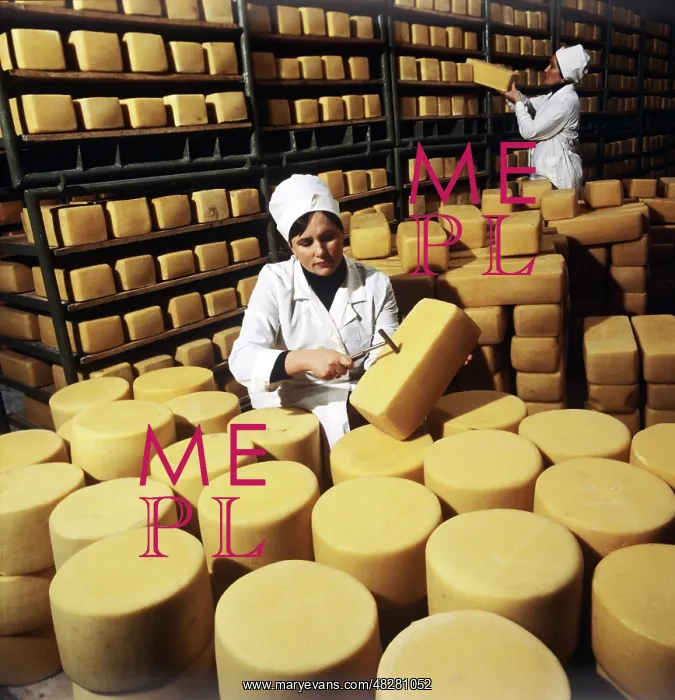 : Butter and cheese making, 1981 : Butter and cheese making, 1981
