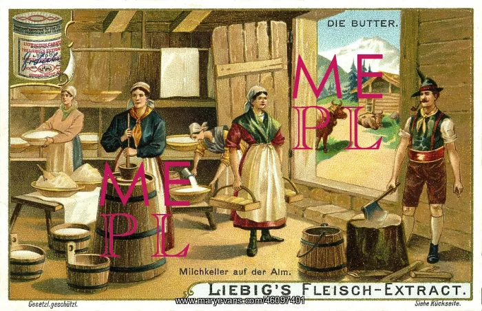 : Butter production in a dairy : Butter production in a dairy