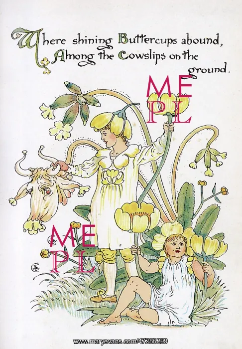 : Buttercups and Cowslips : Buttercups and Cowslips