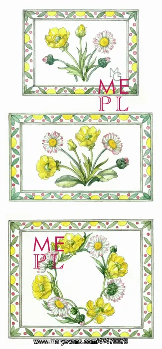 : Buttercups and Daisies ' three designs : Buttercups and Daisies ' three designs