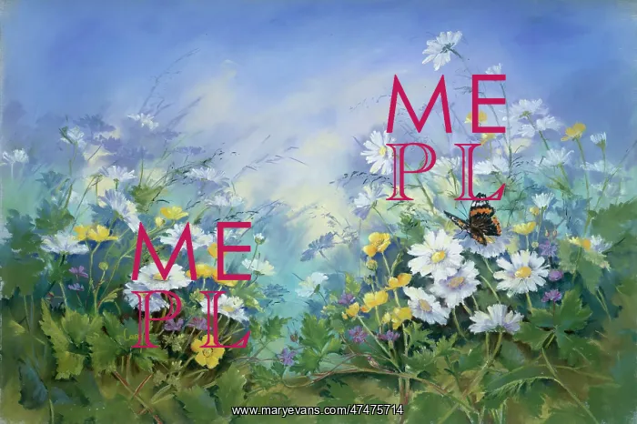 : Buttercups, Daisies, Herb Robert, Butterfly : Buttercups, Daisies, Herb Robert, Butterfly