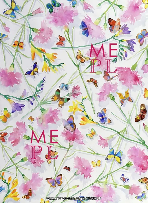 : Butterflies and Carnations : Butterflies and Carnations