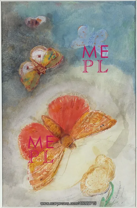: Four butterflies and a flower : Four butterflies and a flower