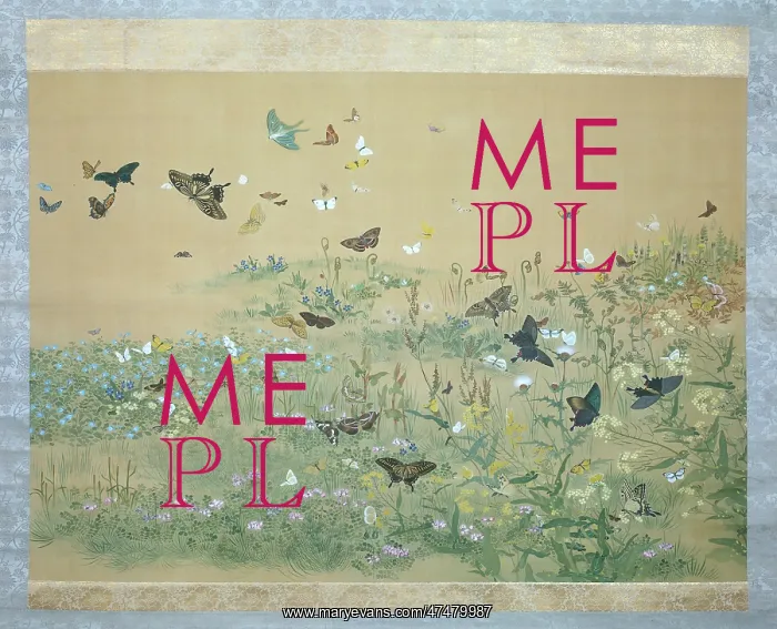: Butterflies and Spring Grasses : Butterflies and Spring Grasses