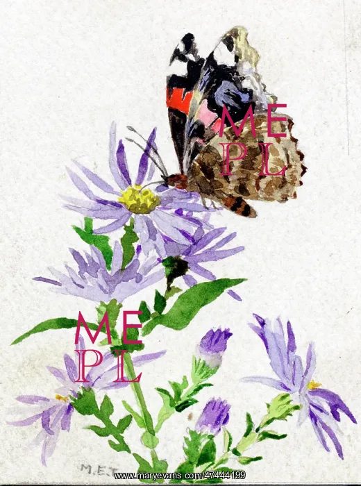  : Butterfly on flower