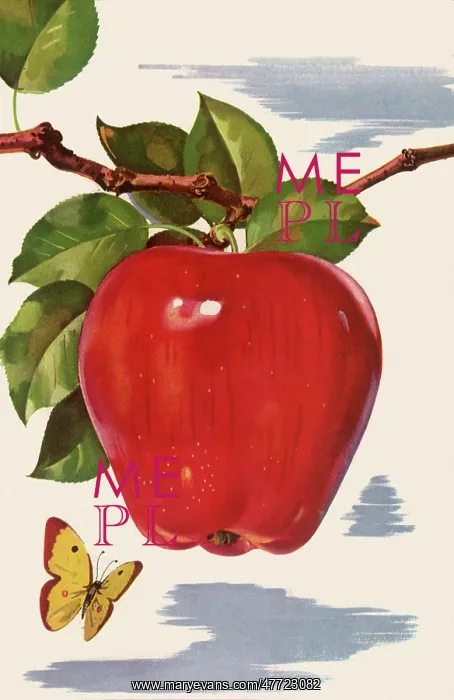  : Butterfly and Apple