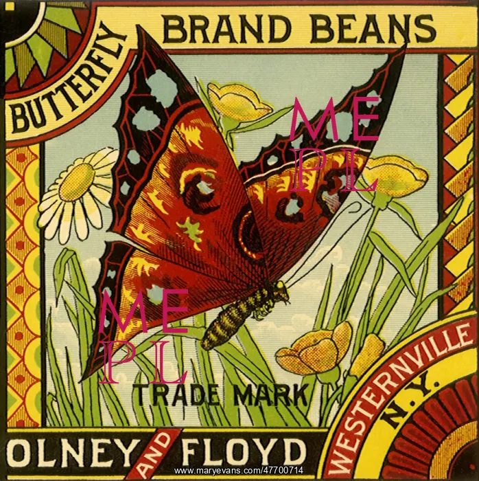 : Butterfly Bean Label : Butterfly Bean Label