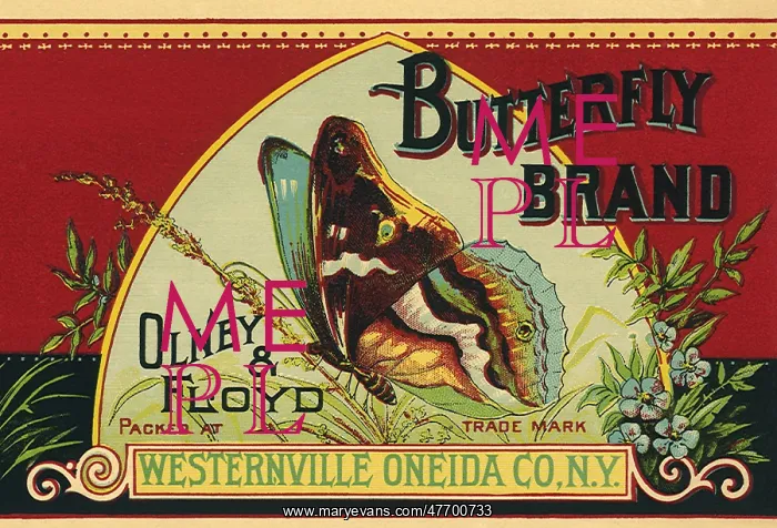 : Butterfly Brand Label : Butterfly Brand Label