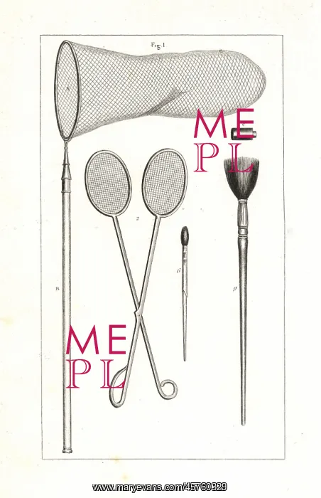 : Butterfly collector's tools : Butterfly collector's tools