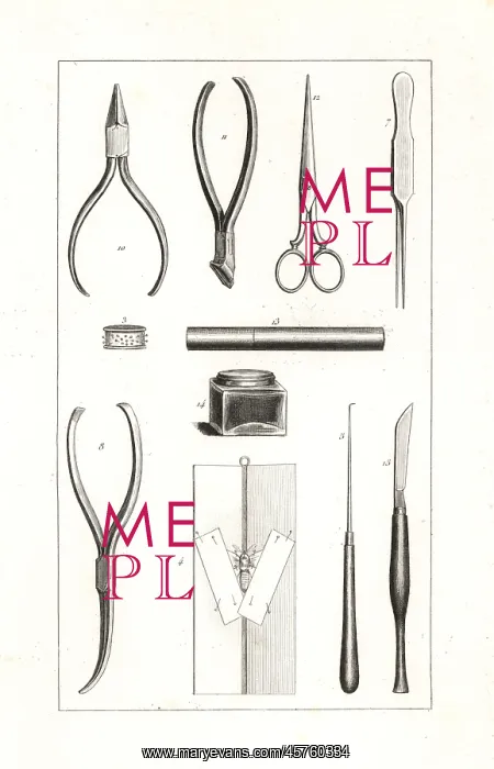 : Butterfly collector's tools : Butterfly collector's tools