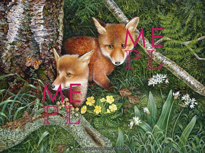 : The Butterfly ' two fox cubs in woodland : The Butterfly ' two fox cubs in woodland