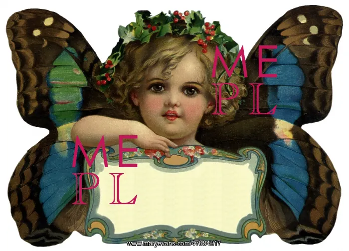  : Butterfly Girl