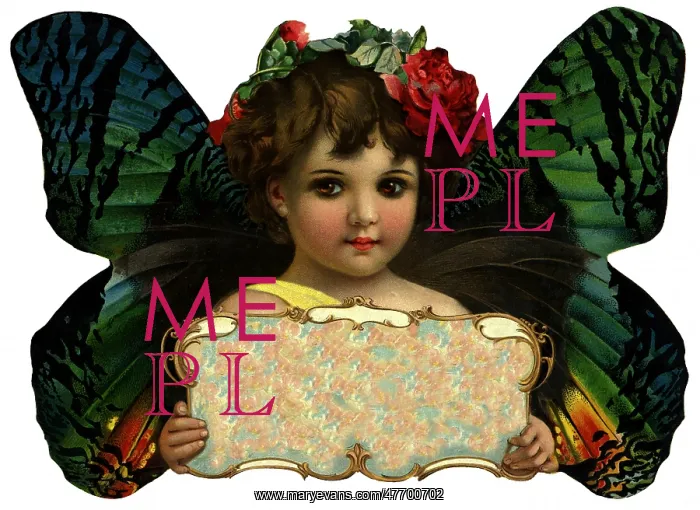 : Butterfly Girl : Butterfly Girl