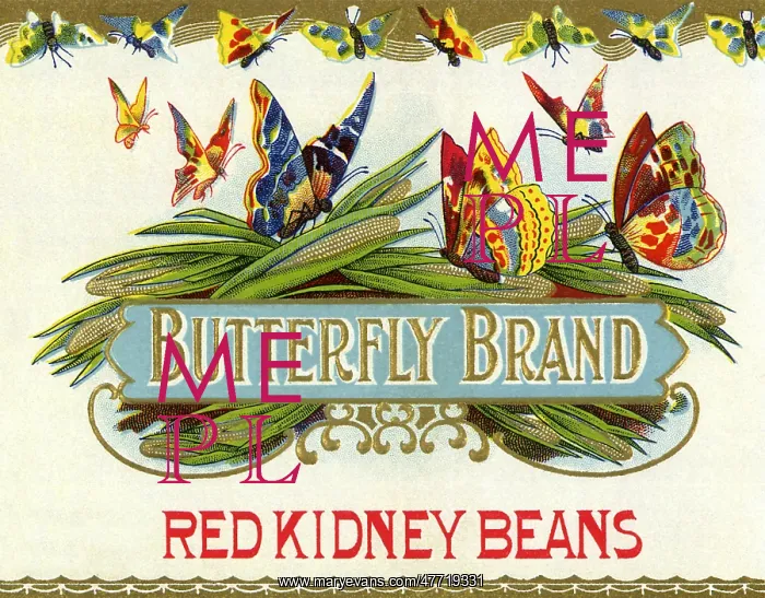  : Butterfly Label