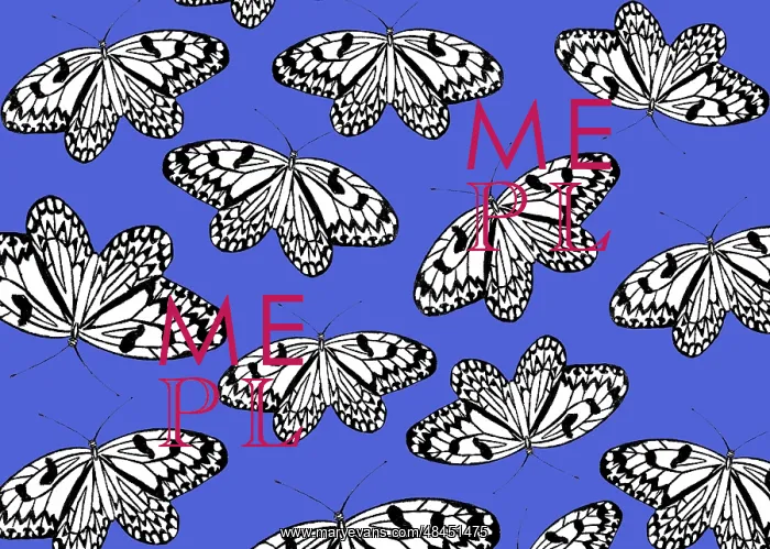  : Butterfly pattern
