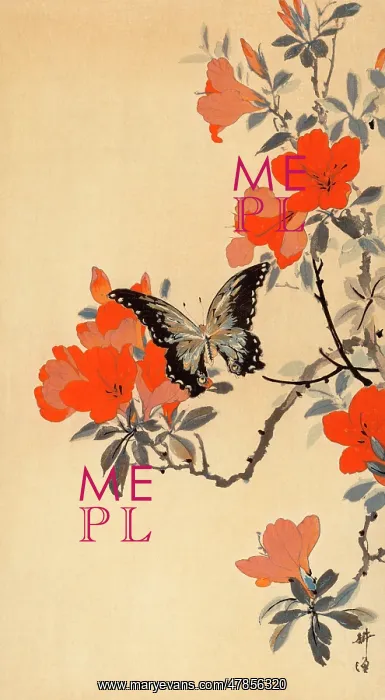 : Butterfly and red cherry blossoms : Butterfly and red cherry blossoms