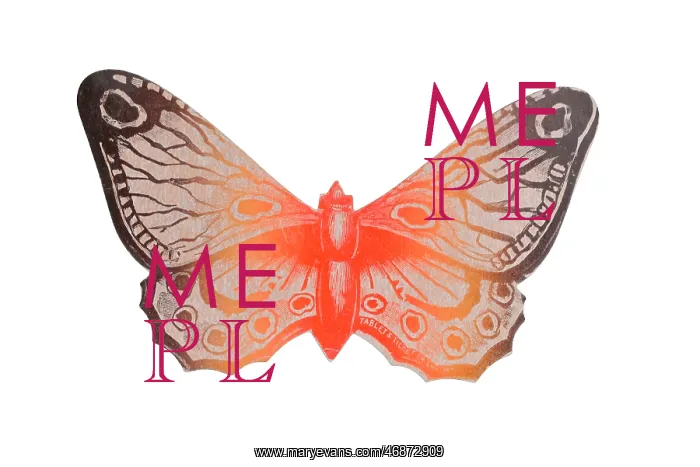 : Butterfly shaped advertising flyer : Butterfly shaped advertising flyer