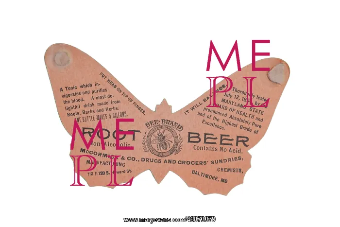 : Butterfly shaped advertising flyer : Butterfly shaped advertising flyer