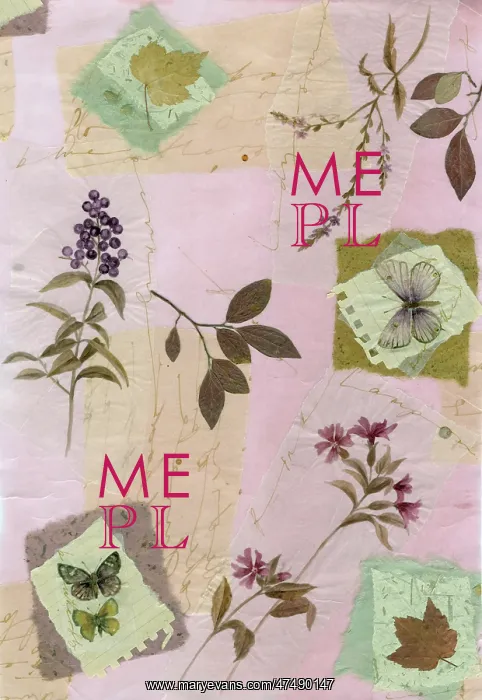 : Butterfly wrapping paper - collage with leaves : Butterfly wrapping paper - collage with leaves