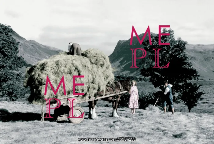  : Buttermere, Haymaking c1955