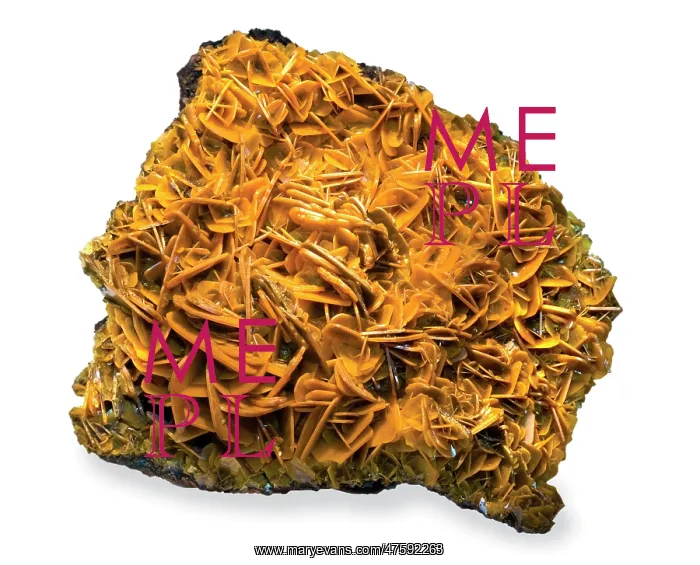 : Butterscotch wulfenite : Butterscotch wulfenite