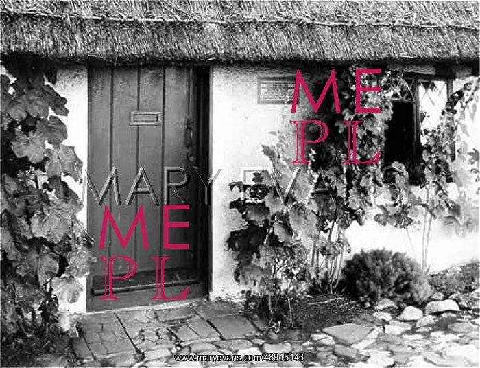 : BUTTON SNAP COTTAGE : BUTTON SNAP COTTAGE