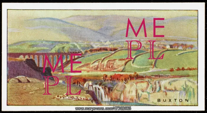 : BUXTON / CIG CARD / 1920S