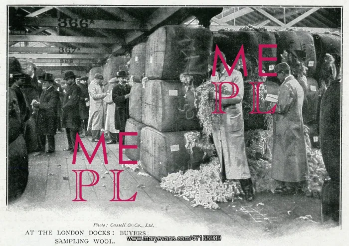  : Buyers sampling wool at London Docks