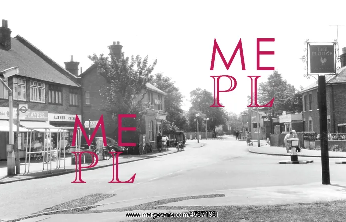  : Byfleet, High Road c1965