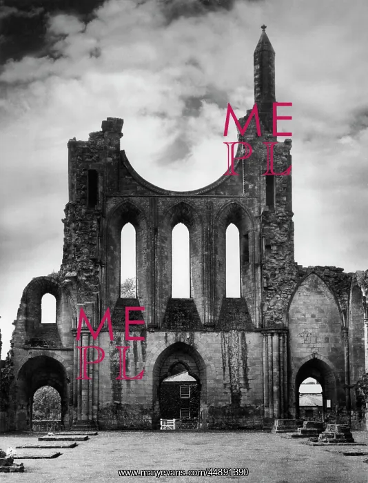 : BYLAND ABBEY : BYLAND ABBEY