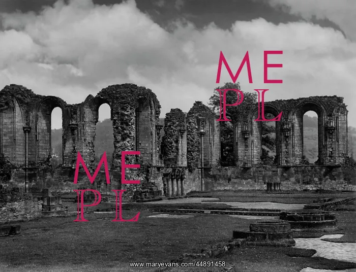 : BYLAND ABBEY : BYLAND ABBEY