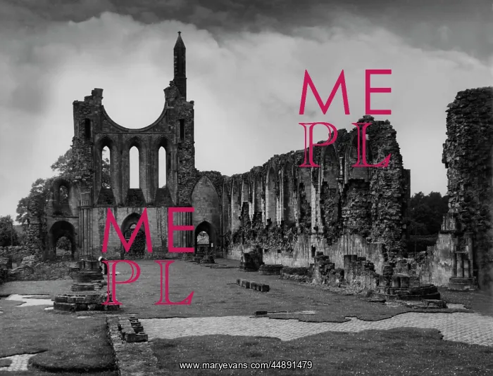 : BYLAND ABBEY : BYLAND ABBEY