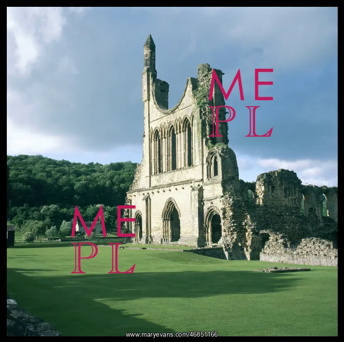 : BYLAND ABBEY : BYLAND ABBEY