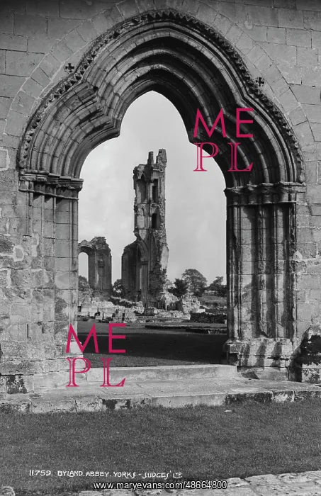: Byland Abbey Ruins : Byland Abbey Ruins