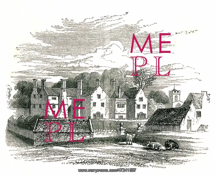 : BYRON / ANNESLEY HALL : BYRON / ANNESLEY HALL
