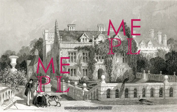 : BYRON / NEWSTEAD ABBEY : BYRON / NEWSTEAD ABBEY