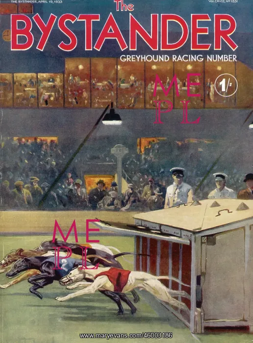 : BYSTANDER GREYHOUND RACING NUMBER : BYSTANDER GREYHOUND RACING NUMBER