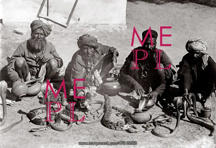  : c. 1880s India snake charmers