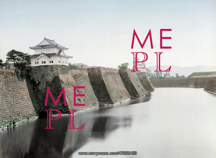  : c. 1880s Japan - moat of Osaka Castle