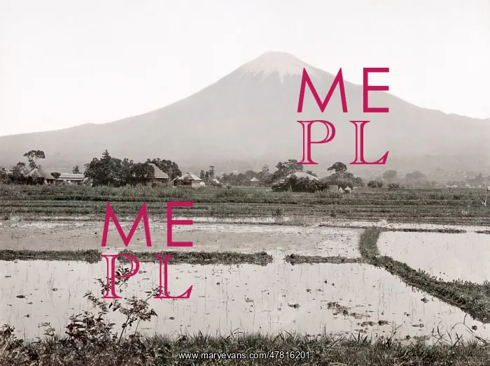  : c. 1880s Japan - view of Mount Fuji and rice paddy fields