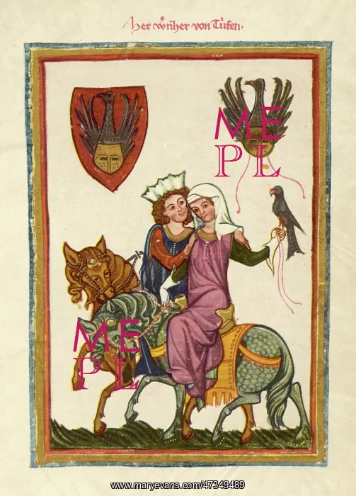 : C12 COUPLE AND FALCON : C12 COUPLE AND FALCON