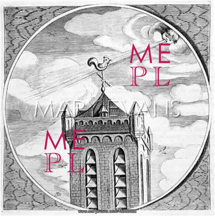 : C18 WEATHERCOCK : C18 WEATHERCOCK