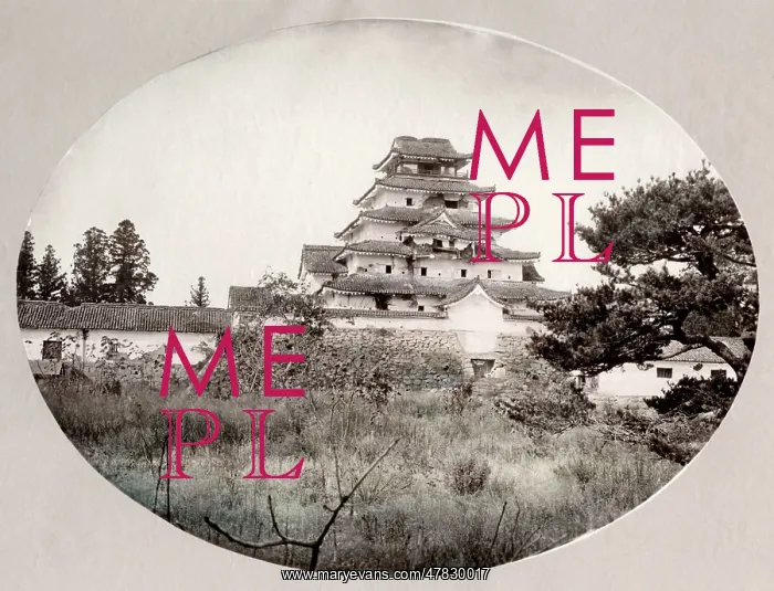  : c.1880's Japan castle at Kumamoto (?)